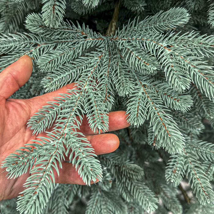 Brad artificial Christmas Deluxe, Viena Select argintiu, integral 3D, 230cm [6]