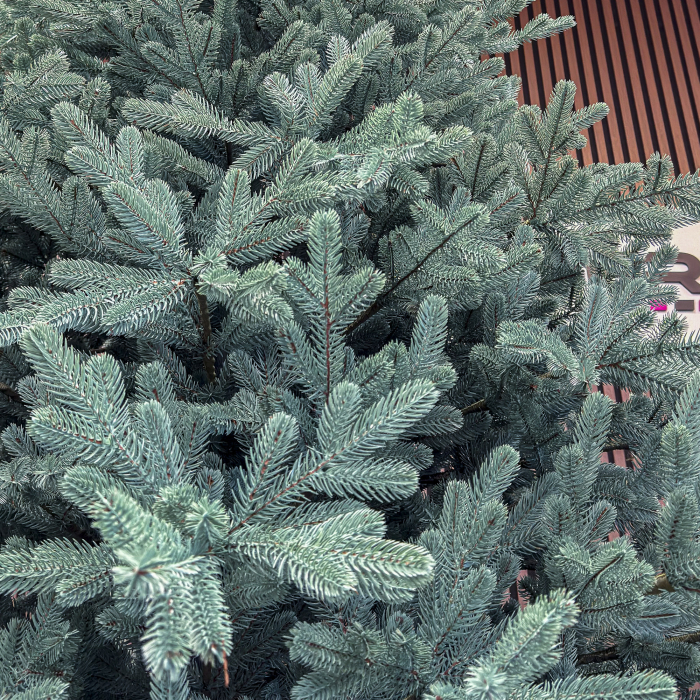 Brad artificial Christmas Deluxe, Viena Select argintiu, integral 3D, 250 cm [4]
