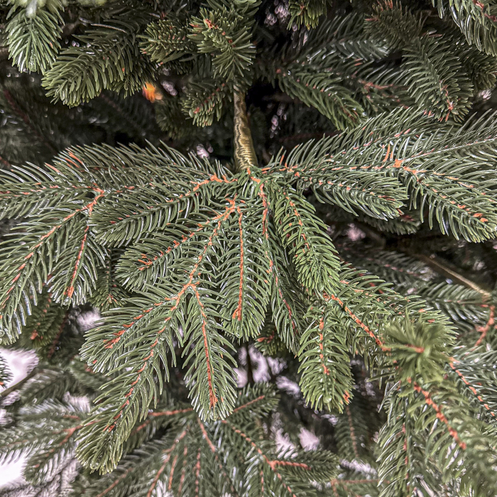 Brad artificial Christmas Deluxe, Viena Select, integral 3D, 180cm [5]