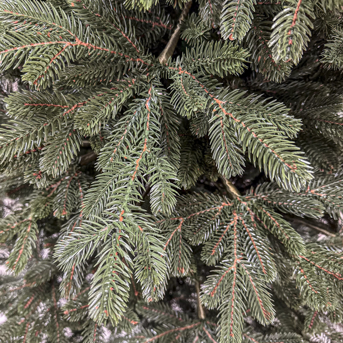 Brad artificial Christmas Deluxe, Viena Select, integral 3D, 180cm [6]