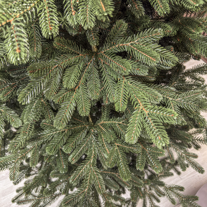 Brad artificial Christmas Deluxe, Viena Select, integral 3D, 210cm [6]