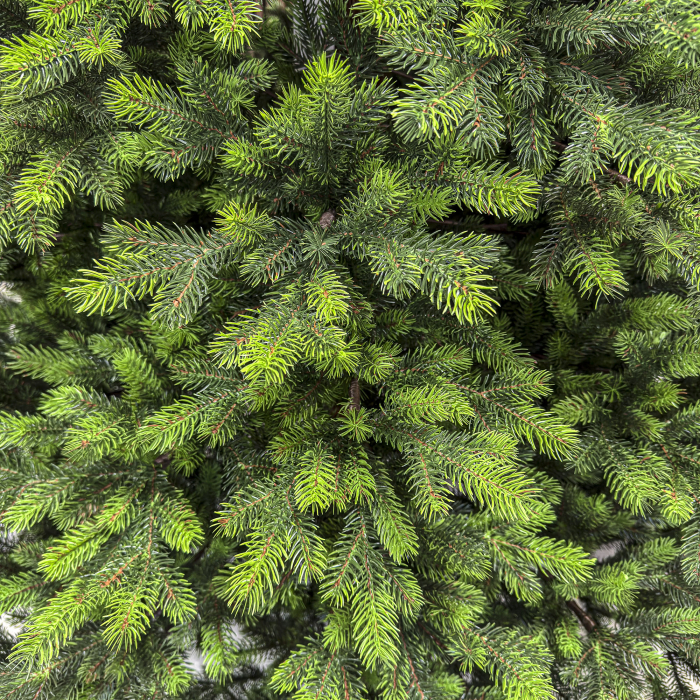 Brad artificial, Hollandia, verde cu varfuri verzi, integral 3D, 230 cm [5]