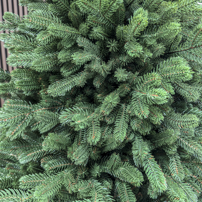 Brad artificial, Sionne Elite, verde, integral 3D, 200 cm [6]