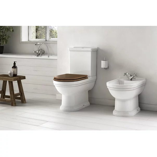 Capac wc Gala Noble softclose maro [2]