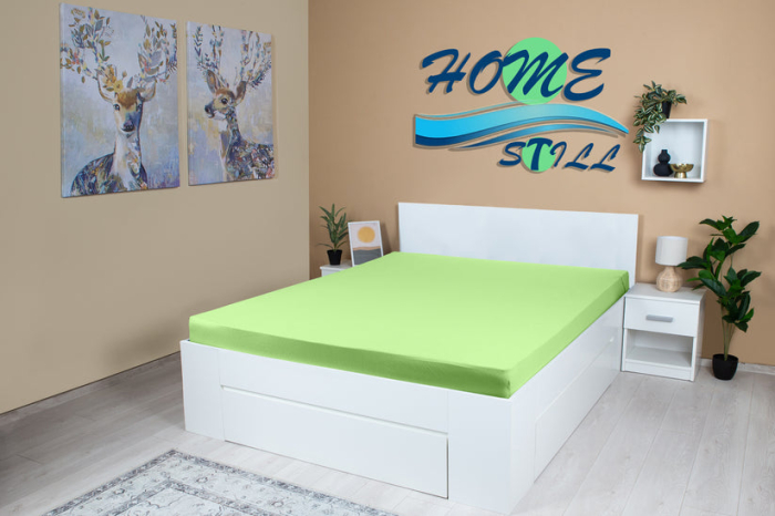 Cearceaf Brius cu elastic Jersey, 100x200, 50% poliester , 50% bumbac, Material moale si prietenos cu pielea, Mint [2]