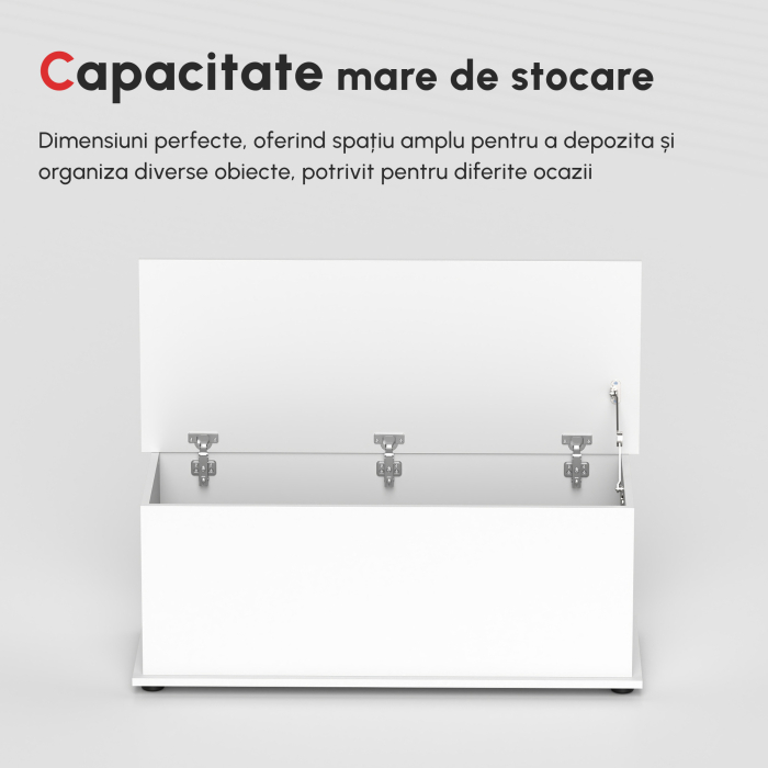  Cutie de Depozitare din Lemn, Moderna si Multifunctionala, pentru Camera, Intrare, Alb [7]
