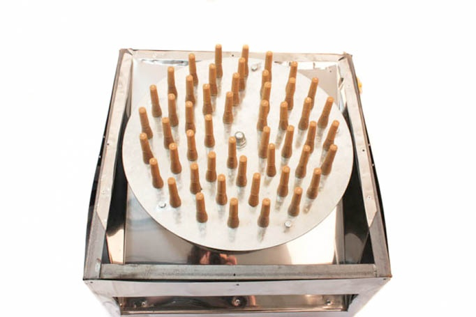 Deplumator pasari WQ-50 [3]