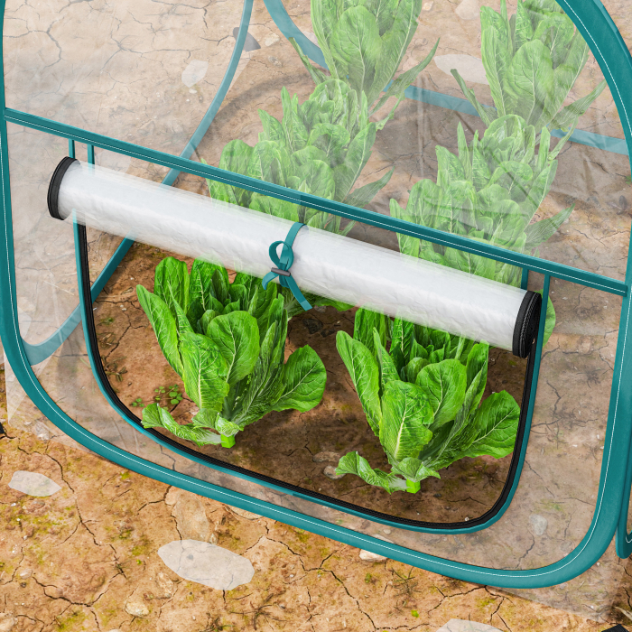  Mini Sera Pop-Up cu Acoperire din Plastic, Fereastra Rulabila si Geanta, 70x70x80 cm, Transparenta [9]