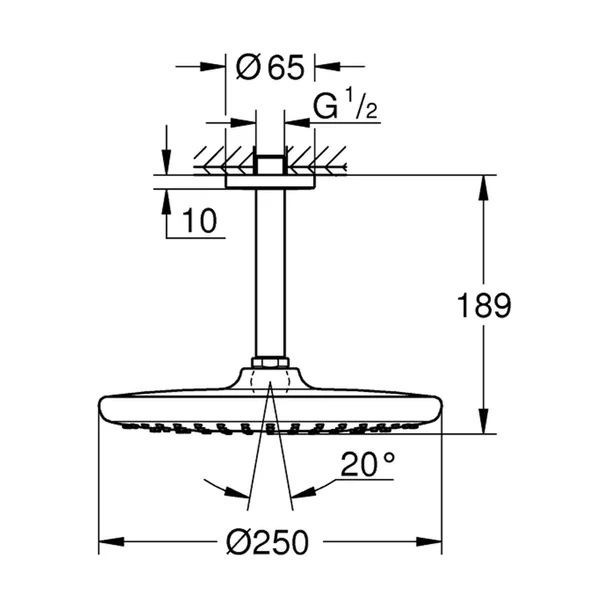 Palarie si brat de dus crom Grohe Tempesta 250 rotunda [2]