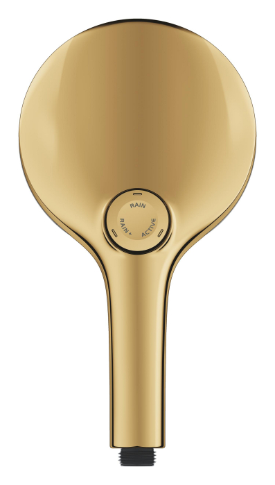 Para de dus Grohe 101676GL00, SPA AQUA, 130 mm, 3 functii, ABS/acril, lucios, auriu [3]