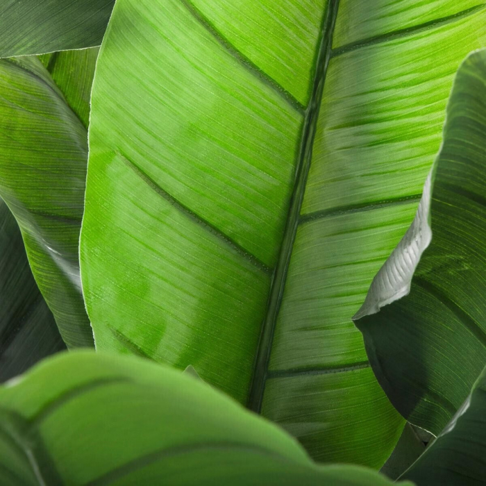 Planta artificiala bananier cu ghiveci, frunze EVA/PE bogate, aspect tropical exotic, fara intretinere, 116x116x168 cm, verde [3]