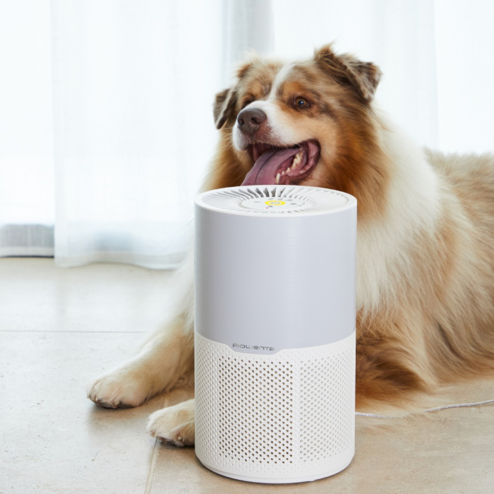 Purificator Rowenta Pure Air Compact PU2220F0, sistem de filtrare 3-in-1 HEPA, 3 trepte de viteza, mod auto, 3 filtre, functie Allergen Boost, alb [8]