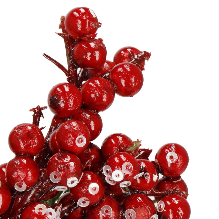 Ramura decorativa Craciun cu fructe rosii, acadea si sfoara iuta, 24 cm, rosu [10]