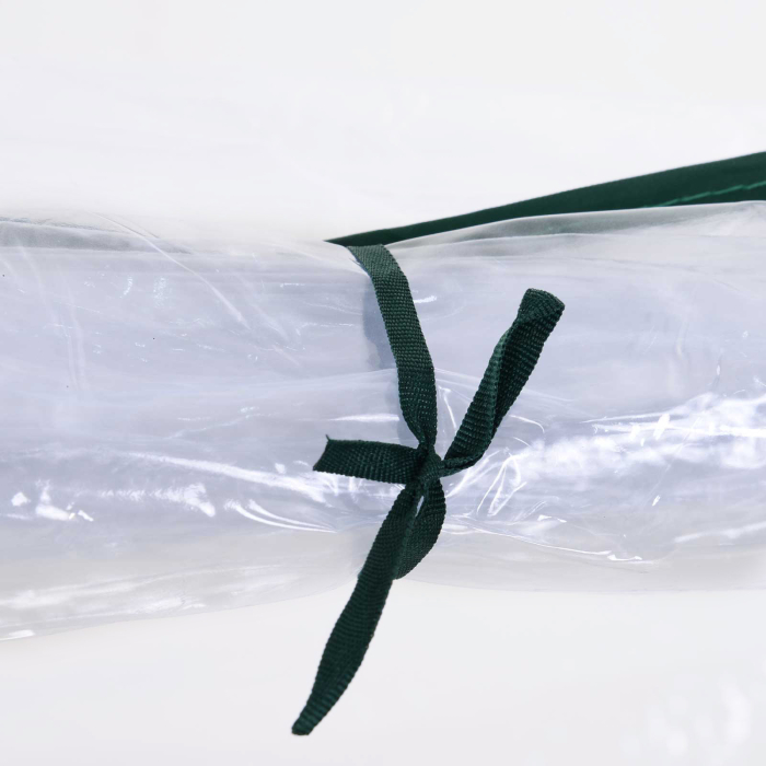  Sera de gradina cu cadru din otel si invelis din PVC, 250x100x80cm, Verde si transparent [9]