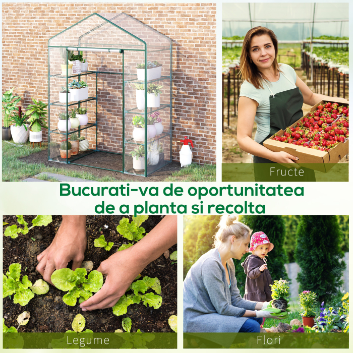  Sera de Gradina din Otel si PVC Transparent cu Usa Rulou, 143x73x195cm [7]