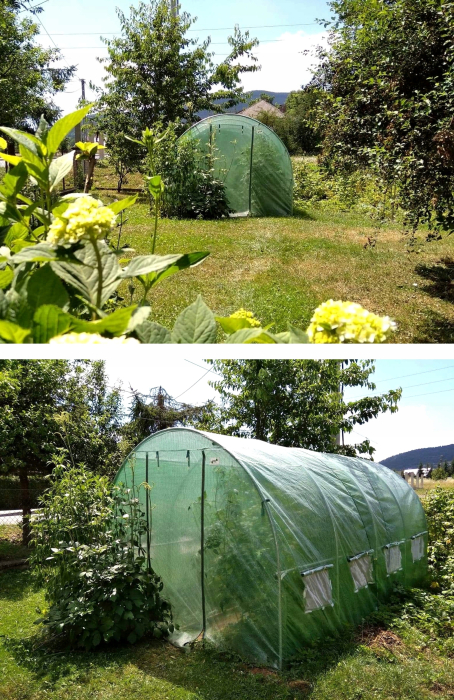 Sera gradina tip tunel 250x400x200 cm, folie PE 140g/m2 UV4, 4 segmente, 8 ferestre rulante, usa blocabila, 10 mp, verde [9]