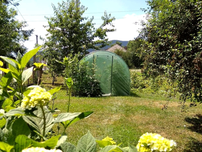 Sera gradina tip tunel 300x200x200 cm, folie PE 140g/m2 UV4, usa cadru cu balamale, 8 ferestre, 6 mp, verde [12]