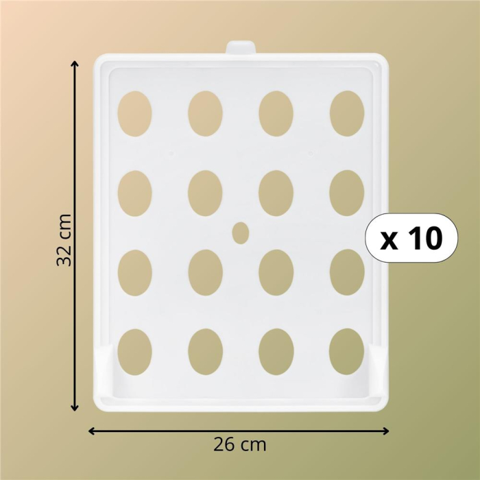 Set 10 organizatoare pentru separare si depozitare haine, stivuibile, 26x32 cm, alb [17]