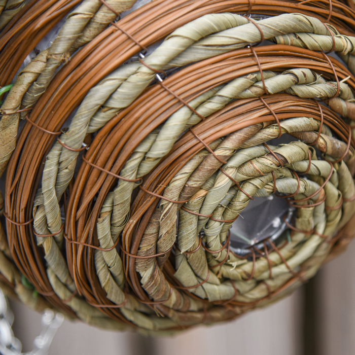  Set 2 Plante Lisianthus - Ghiveci Rachita, Decorative pentru Agatat [7]