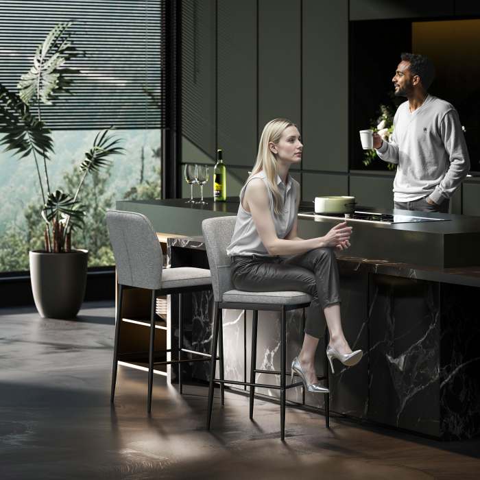  Set de 2 Scaune de Bar cu Spatar, 41x52x97 cm, Gri [8]