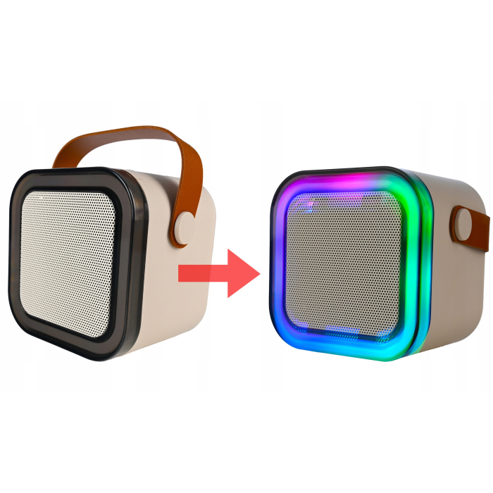 Set karaoke wireless cu 2 microfoane pentru duet si boxa Bluetooth portabila de 6 W, card TF si AUX, acumulator reincarcabil 800 mAh, design compact p [8]