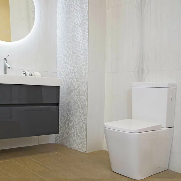 Set vas wc cu capac si rezervor aparent Fluminia Paris [6]