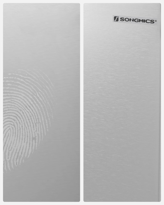Cos de gunoi din inox cu 2 compartimente colectare selectiva, cu galeti interioare, 2x24 litri, argintiu [4]