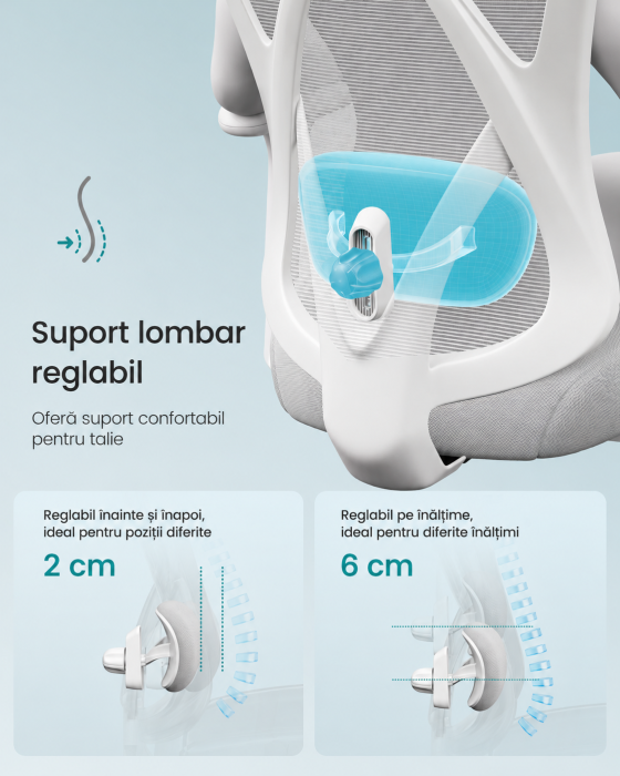 Scaun de birou ergonomic reglabil cu suport lombar si tetiera, maxim 120 kg, 70x70x125 cm, gri [5]