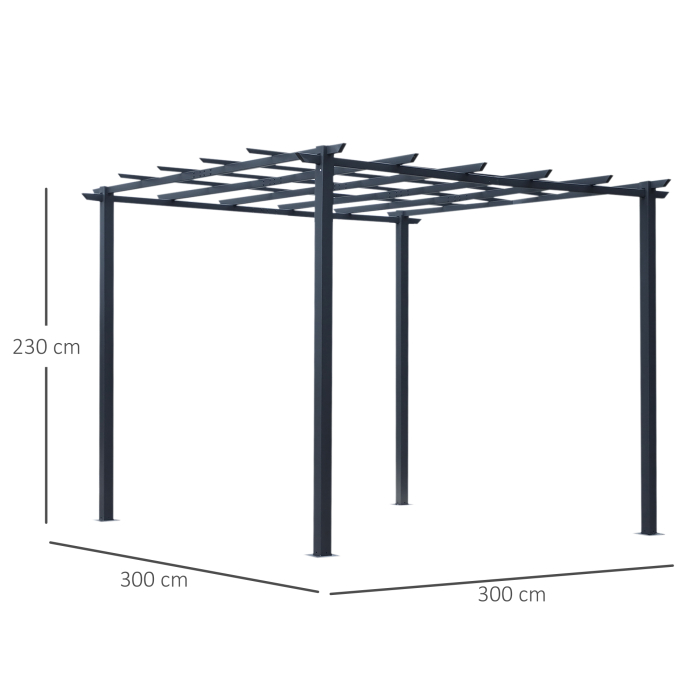  Spalier Gradina Metal Negru 297×295×230 cm - Pentru Plante Catatoare [3]