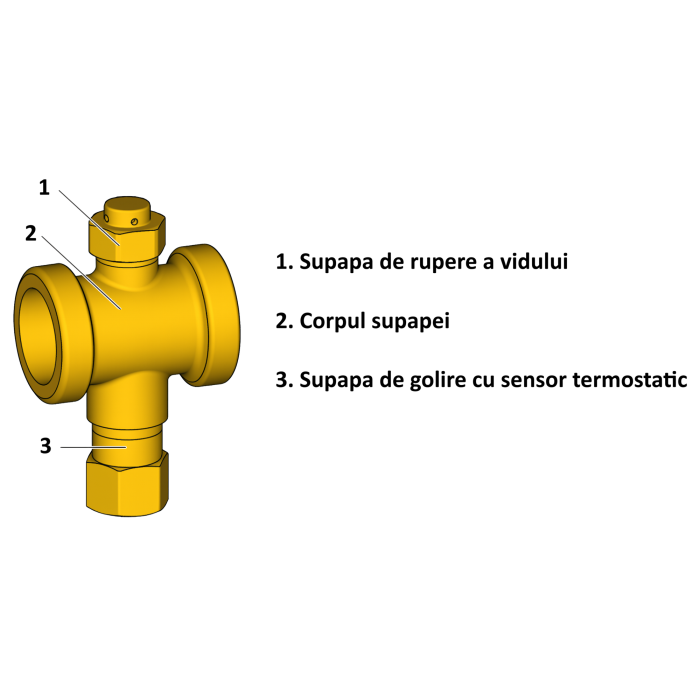 Supapa de protectie anti-inghet Giacomini R148HPY016, pentru pompe de caldura monobloc, filet 1" filet interior 3/4” filet exterior, cu senzor termostatic [2]