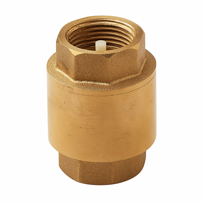 Supapa de sens Remer Rubinetterie Minutery 38020, 2", filet interior, garnitura NBR, alama [1]