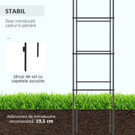  Arc pentru Trandafiri Cataratori din Metal [4]