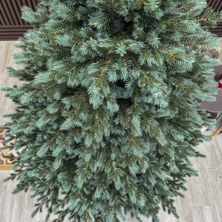 Brad artificial Christmas Deluxe, Alaska Select verde argintiu, integral 3D, 180 cm [3]