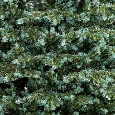 Brad artificial Christmas Deluxe, Alaska Select verde argintiu, integral 3D, 210 cm [8]