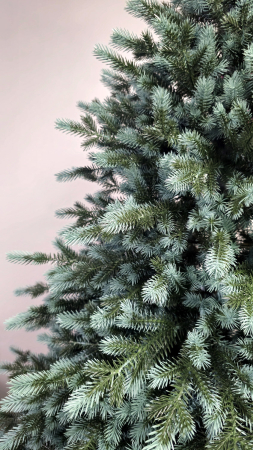Brad artificial Christmas Deluxe, Alaska Select verde argintiu, integral 3D, 210 cm [3]