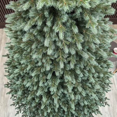 Brad artificial Christmas Deluxe, Alaska Select verde argintiu, integral 3D, 300 cm [3]