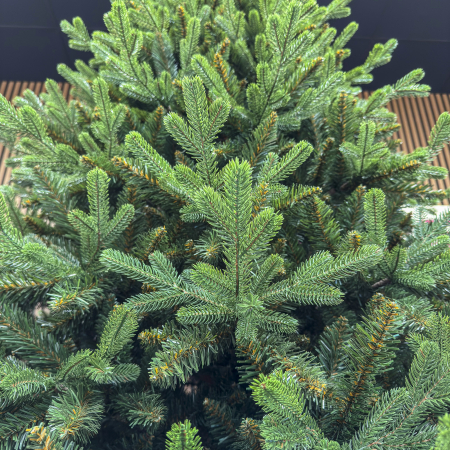 Brad artificial Christmas Deluxe by Sersimo, Alaska, verde, mix 2D+3D, 210 cm [14]