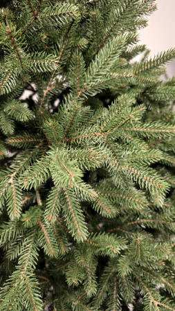 Brad artificial Christmas Deluxe, Alpin Select, integral 3D, 180cm [8]