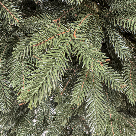 Brad artificial Christmas Deluxe, Alpin Select, integral 3D, 230cm [6]