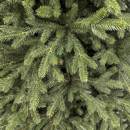 Brad artificial Christmas Deluxe, Alpin Select, integral 3D, 250 cm [2]