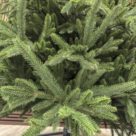 Brad artificial Christmas Deluxe, Alpine, verde, integral 3D, 250 cm [2]