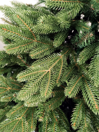 Brad artificial Christmas Deluxe by Sersimo, Belgia, 2D+3D, 180cm [12]