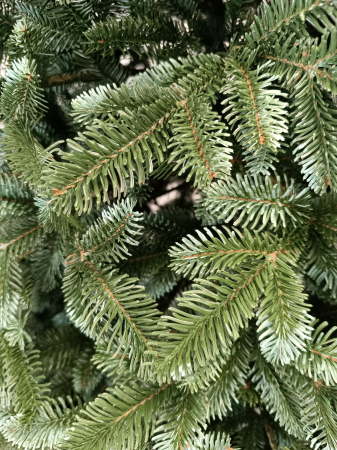 Brad artificial Christmas Deluxe by Sersimo, Canada argintiu, 3D, 250cm [4]