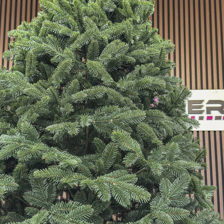 Brad artificial Christmas Deluxe by Sersimo, Canada verde, 3D, 210cm [19]