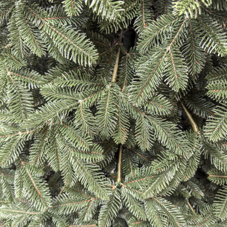 Brad artificial Christmas Deluxe, Canada verde, 3D, 230cm [5]
