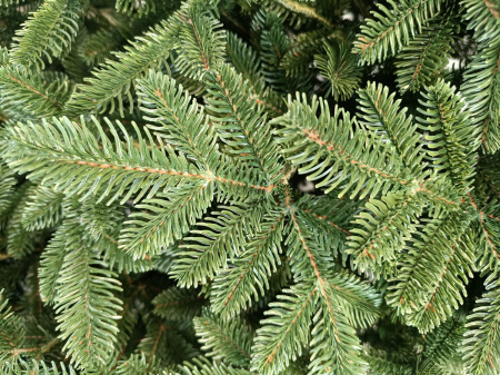 Brad artificial Christmas Deluxe, Canada verde, 3D, 250cm [4]