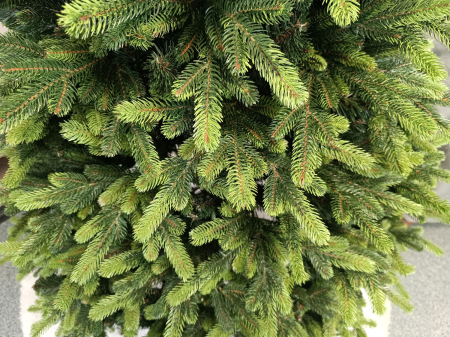 Brad artificial Christmas Deluxe by Sersimo, Carpati cu varfuri verzi, 2D+3D, 210cm [11]