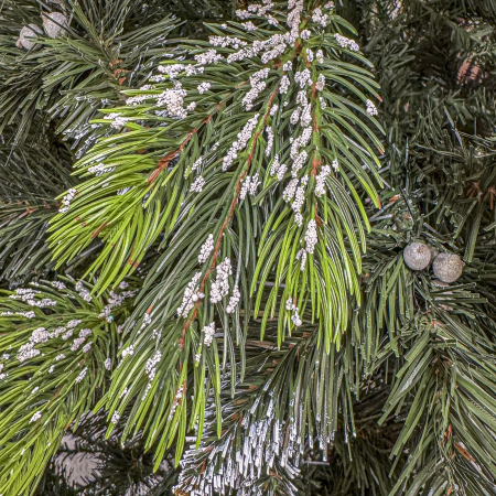 Brad artificial Christmas Deluxe, Diamant, 2D+3D, 250cm [7]