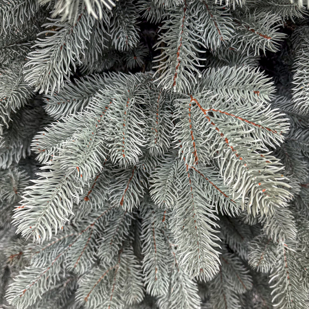 Brad artificial Christmas Deluxe, Kovalivka Select argintiu, integral 3D, 230 cm [3]