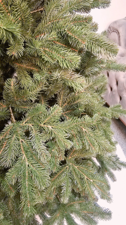 Brad artificial Christmas Deluxe, Kovalivka Select, integral 3D, 180cm [6]